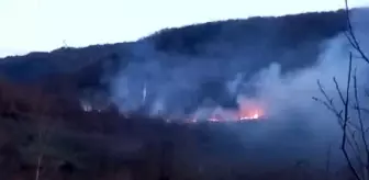 Bolu Mudurnu'da Çıkan Örtü Yangını Paniğe Neden Oldu