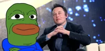 PEPE coin Musk rüzgarıyla hareketlendi! Yükseliş geçici mi kalıcı mı?