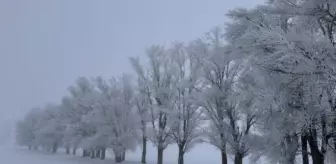 Erzurum'un Tekman ilçesi Türkiye'nin en soğuk yeri oldu