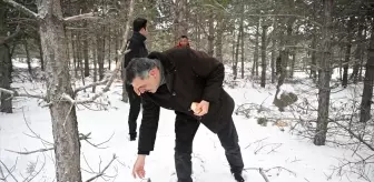 Erzurum'da Yaban Hayvanları İçin Yem Bırakma Etkinliği Düzenlendi