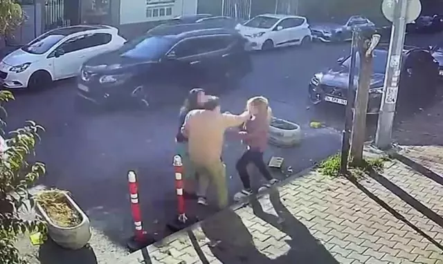 Kedisinin tıraşını beğenmeyen kadın, veterinere saldırdı