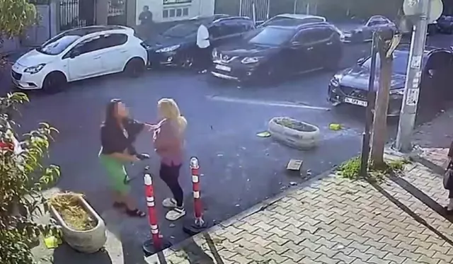 Kedisinin tıraşını beğenmeyen kadın, veterinere saldırdı