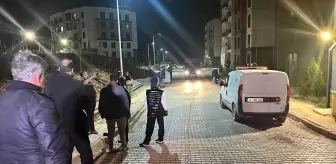 İskenderun'da Aile Zehirlenmesi: Anne ve Üç Çocuk Ölü Bulundu