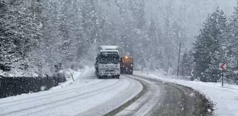 Kocaeli ve Karabük'te Kar Yağışı Etkili Oldu
