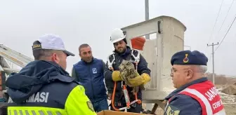 Yaralı Puhu Elektrik Tellerinden Kurtarıldı