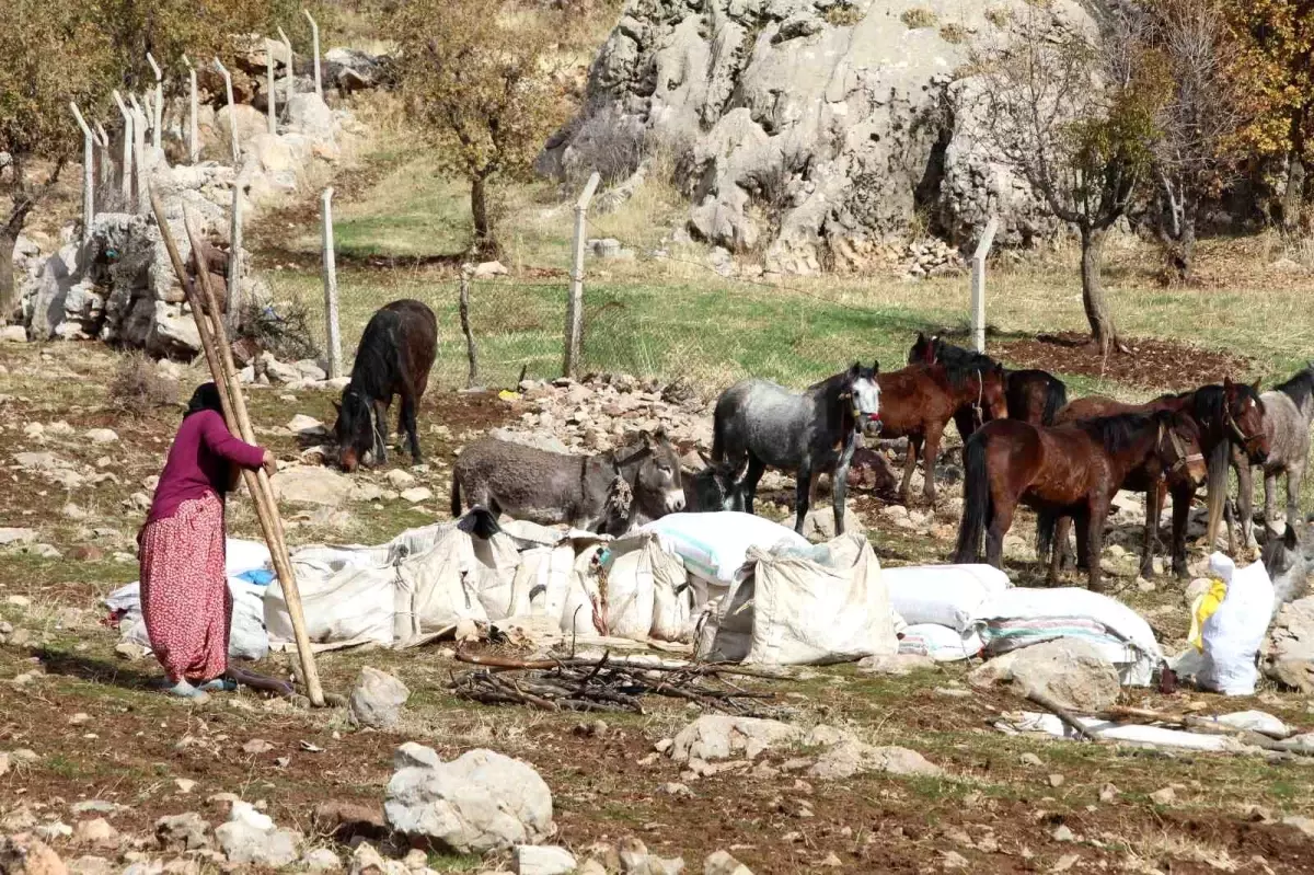 Şırnak'ta Göçerlerin Kışlaklarına Dönüş Yolculuğu Devam Ediyor