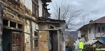 Yığılca'da Fındık Zararlısıyla Mücadele Başladı