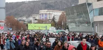 Avrupa Parlamentosu Heyeti Gürcistan'daki AB Yanlısı Gösterilere Destek Verdi