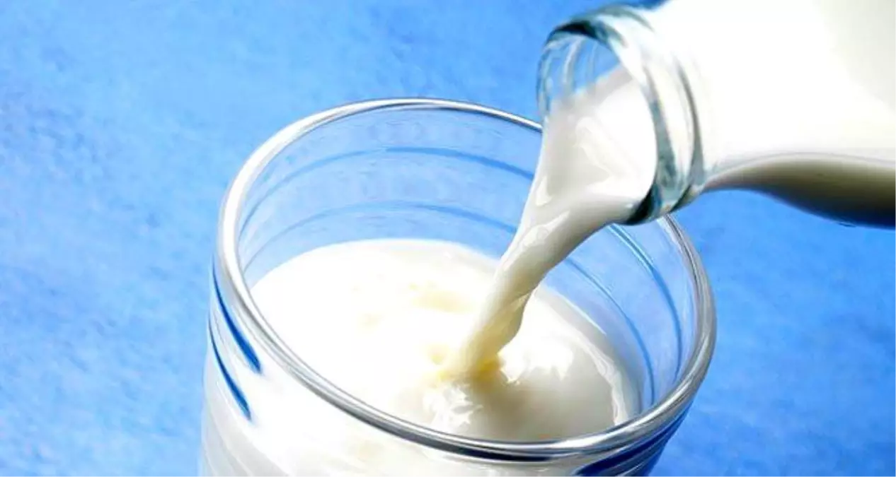 Aydın'da 10 Bin 986 Üreticiye Çiğ Süt Desteği