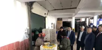 Bilecik'te Tarım Ürünleri Soğuk Hava Depolarında Paketleniyor