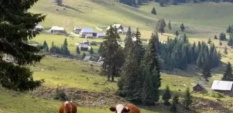 Bakanlık İmar Hakkı Aktarımı ile ilgili yeni düzenlemenin detaylarını duyurdu