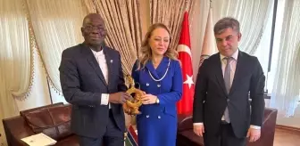 Türk şirketleri, Gambiya'da Kalkınma Projelerinde yer alacak