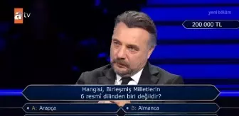 Birleşmiş Milletlerin ana dilleri nelerdir?