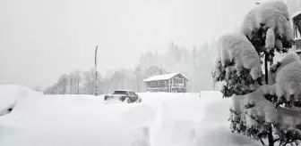 Kar Yağışı Doğu Karadeniz'de Yaşamı Olumsuz Etkiliyor