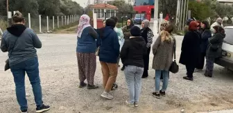 Ürünleri Avrupa'dan dönen işletme iflas etti, alacaklılar soluğu fabrikada aldı