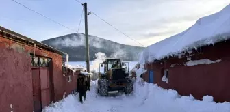 Ardahan'da Karla Mücadele Çalışmaları Hız Kesmeden Devam Ediyor