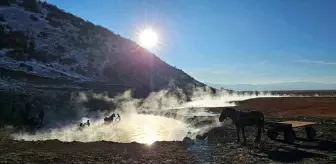 Bitlis'te Atlar Kaplıcada Yıkanıyor