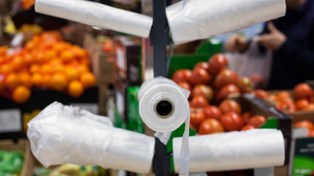 Market poşetlerine zam geldi mi, ne kadar olacak? Market poşetleri neden ücretli? Market poşetlerine zam geldi mi, ne kadar olacak? Market poşetleri neden ücretli?