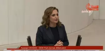 DEM Parti Milletvekili Doğan: İletişim Başkanlığı Algı Yönetimini İktidar Lehine Yapıyor