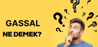 Gassal ne demek? TDK'ye göre gassal ne anlama geliyor?