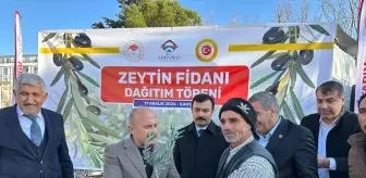 Adıyaman'da 62 Bin Zeytin Fidanı Dağıtıldı