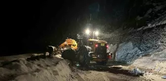 Ayder Yaylası Yolunda Çığ Felaketi: 1 Saat Trafiğe Kapalı Kaldı