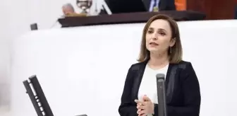 DEM Partili Doğan MHP'li Celal Adan'dan izin alarak TBMM'yi Kürtçe selamladı