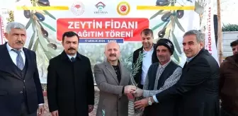 Adıyaman'da 70 Bin Zeytin Fidanı Dağıtıldı