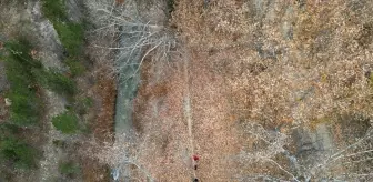 Cödden Vadisi, Doğa Tutkunlarını Ağırlıyor