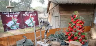 Antalya Doğal Yaşam Parkı Yılbaşı İçin Süslendi