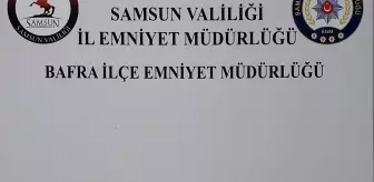 Bafra'da Narkotik Uygulamasında İki Ruhsatsız Silah Ele Geçirildi