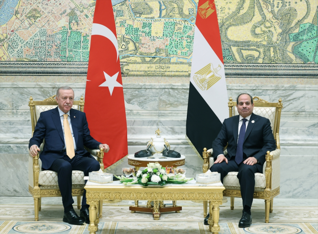 The expression Erdoğan used for Sisi made a mark at the summit