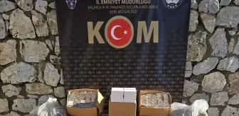 Muğla ve İzmir'de Kaçakçılık Operasyonu: 3 Zanlı Tutuklandı