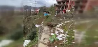 Rize'de Heyelan Sonucu Taş Duvar Yıkıldı