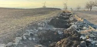 Tunceli'de belediyenin diktiği dut fidanları çalındı