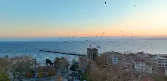 Sinop Kent Meydanı Millet Bahçesi Projesi Tamamlandı