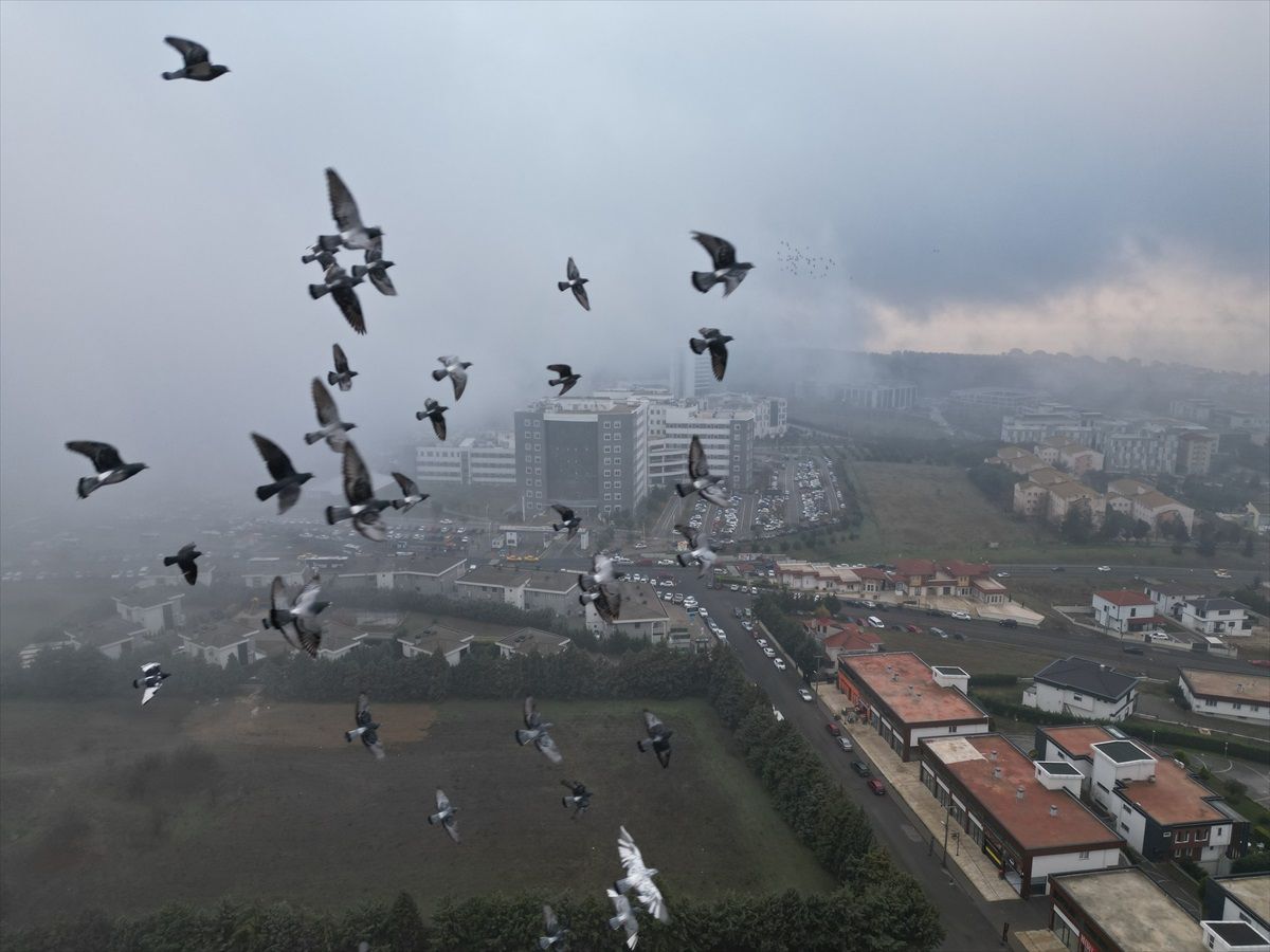 Tekirdağ'da Yoğun Sis Ulaşımı Olumsuz Etkiledi