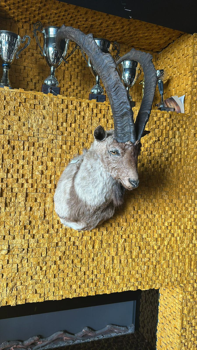 'Çerkes Cengiz'in villasına operasyon: İçeriden çıkanlar 'yok artık' dedirtti