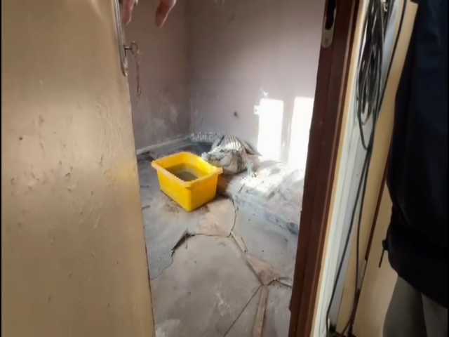 'Çerkes Cengiz'in villasına operasyon: İçeriden çıkanlar 'yok artık' dedirtti