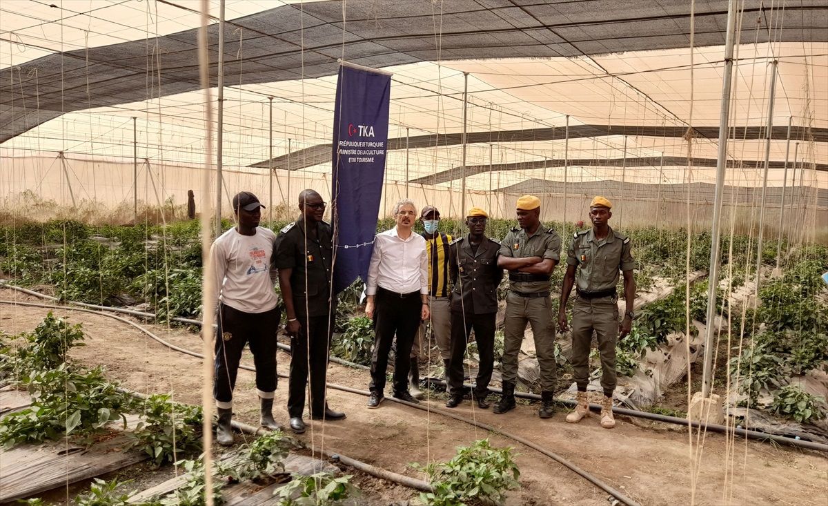 TİKA ve Senegal İşbirliğiyle Cezaevinde Modern Seralar Kuruldu
