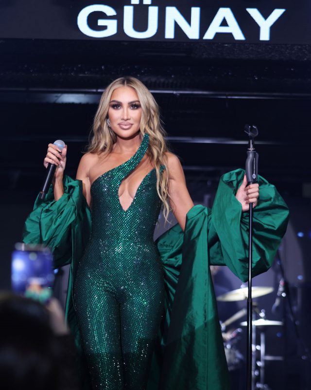 Maya Diab's Unforgettable Concert Night