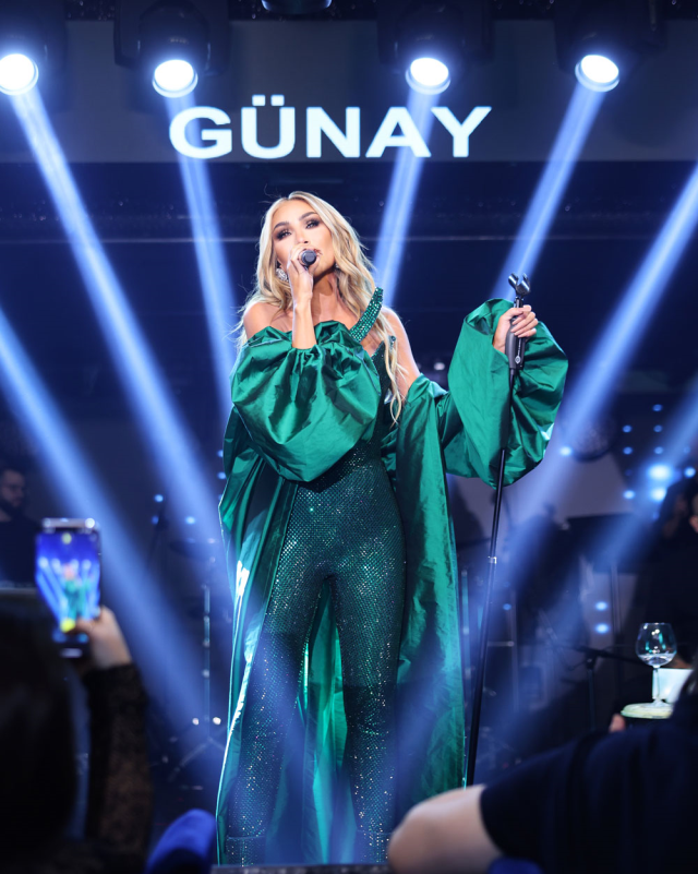 Maya Diab's Unforgettable Concert Night