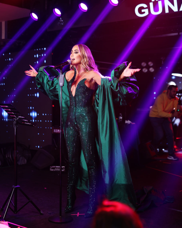 Maya Diab's Unforgettable Concert Night