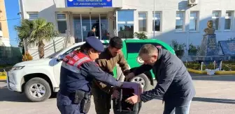 Sakarya'da Kaçak Avlanan Yaban Ördeklerine Cezai İşlem