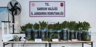 Samsun'da Uyuşturucu Üreten Şüpheli Gözaltına Alındı