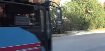 Trafik Cezasından Kurtulmak İçin 'Platin Var' Savunması