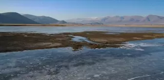 Ağrı'nın Doğubayazıtında Sulak Alanlar Buzla Kaplandı