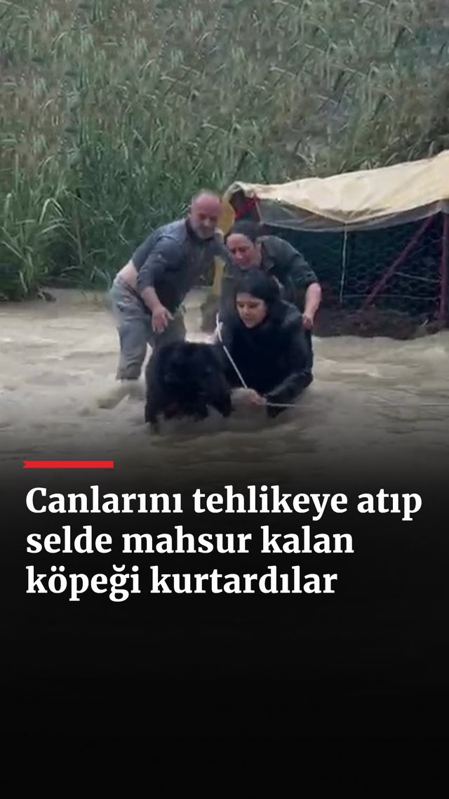 https://foto.haberler.com/haber/2024/12/22/canlarini-tehlikeye-atip-selde-mahsur-kalan-kopegi-kurtardilar_1027_o.jpg