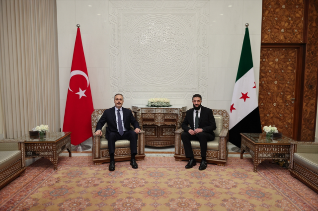 Striking detail of the Turkish flag at the summit in Damascus