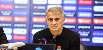 Şenol Güneş: 'İt de gelse hoş geldin demek zorundayım'